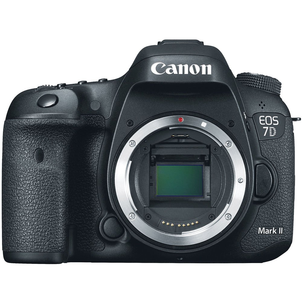Camera Thumbnail