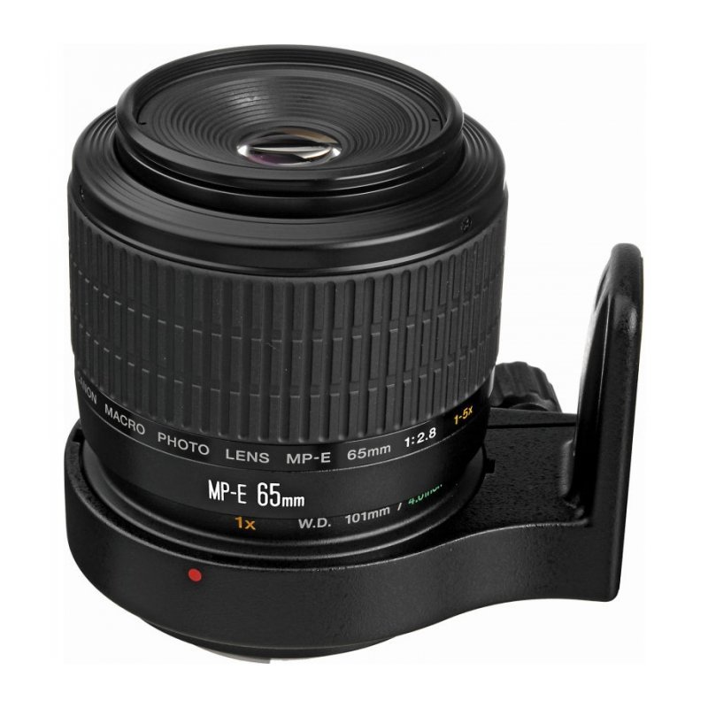 Camera Thumbnail