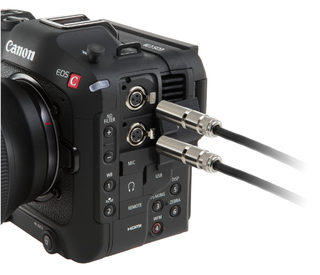 Camera Thumbnail