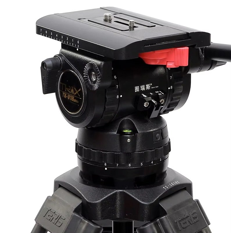Camera Thumbnail