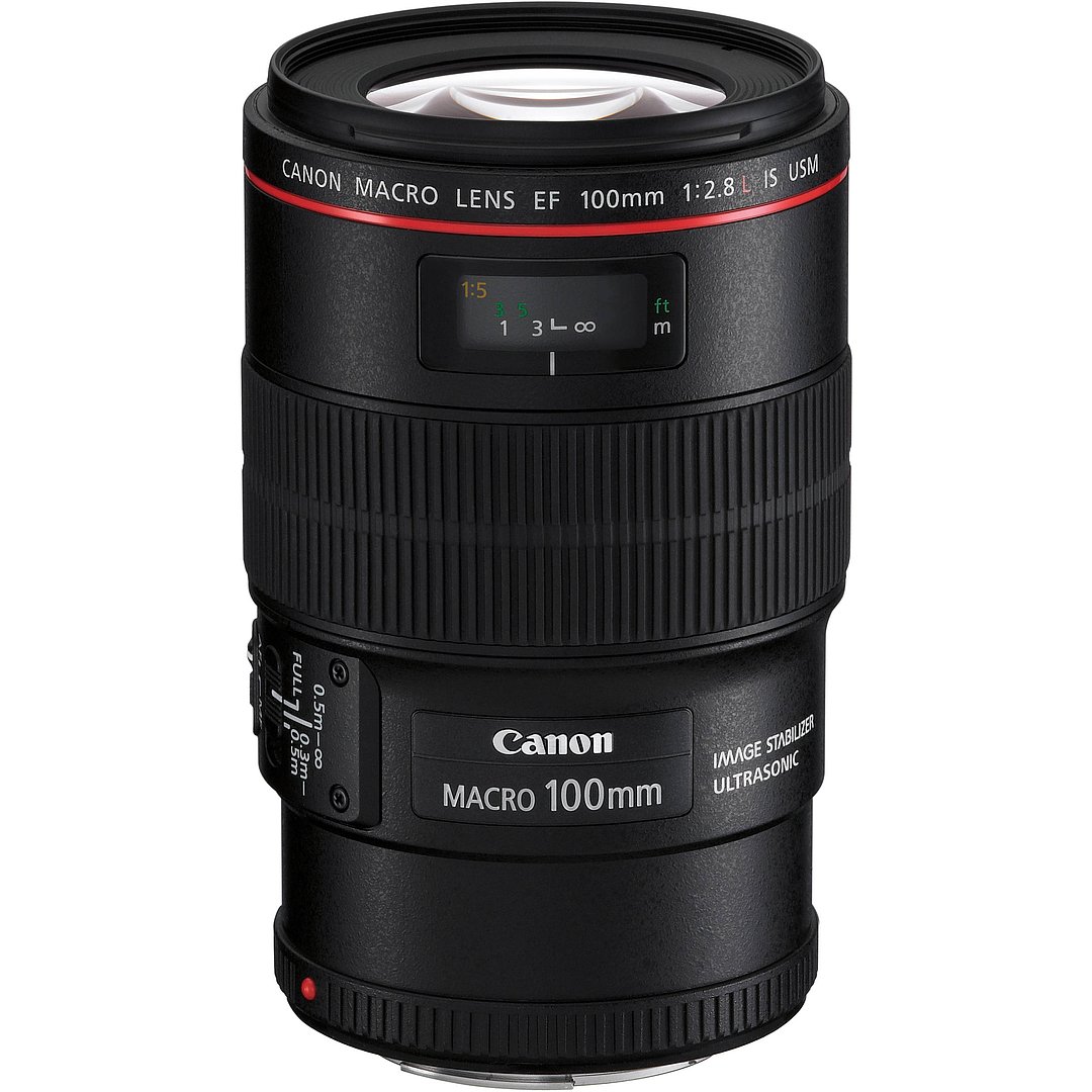 Camera Thumbnail