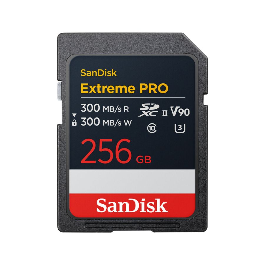 Карта памяти Sandisk SDXC II 256Gb V90 300Mb/s - аренда профессионального оборудования