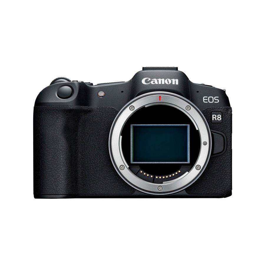 Canon EOS R8 body - аренда профессионального оборудования